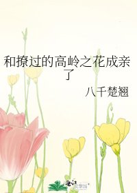 和撩過的高嶺之花成親了